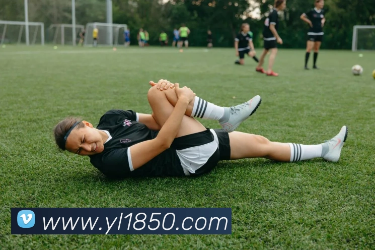 App 展示图